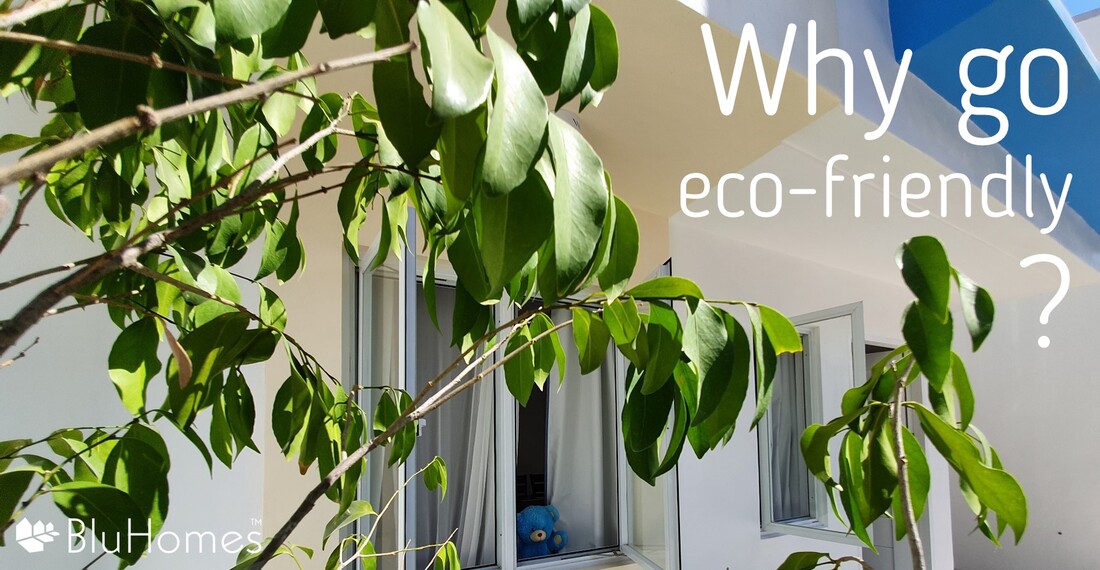 BluHomes Eco-friendly homes