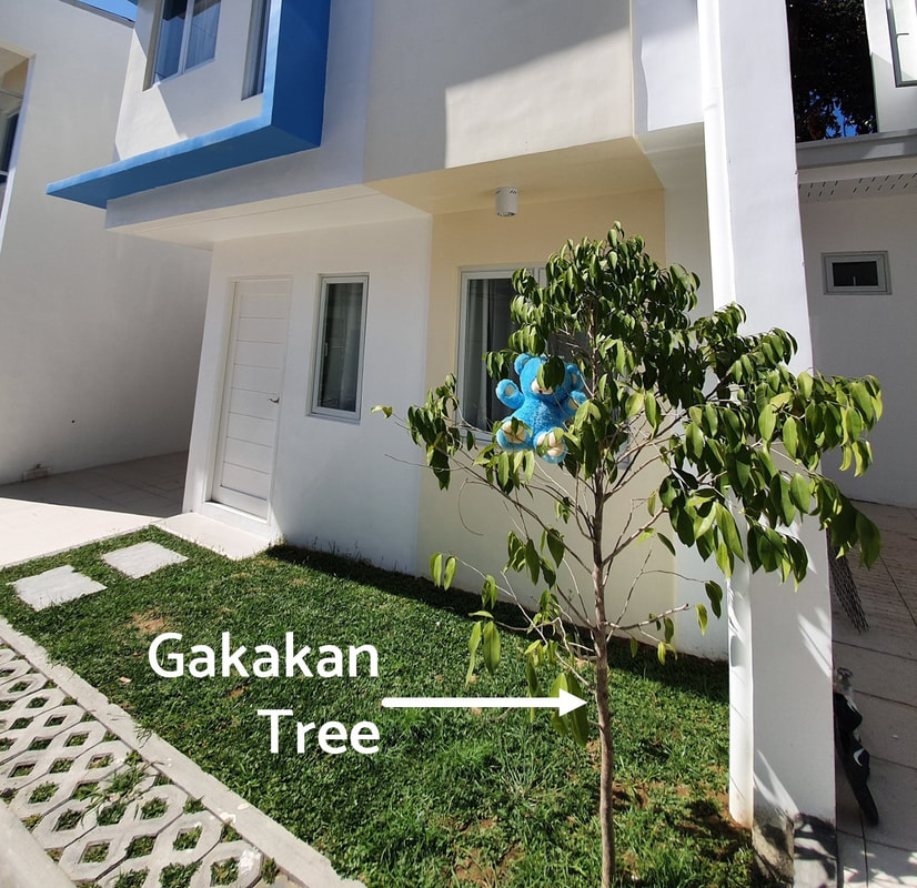 Eco-Friendly Features of BluHomes Gakakan
